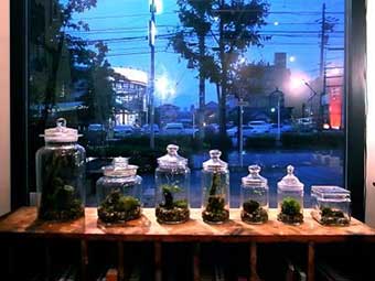 blog_import_566543d5c1bc2