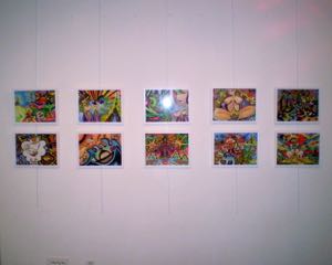 OLYMPUS DIGITAL CAMERA